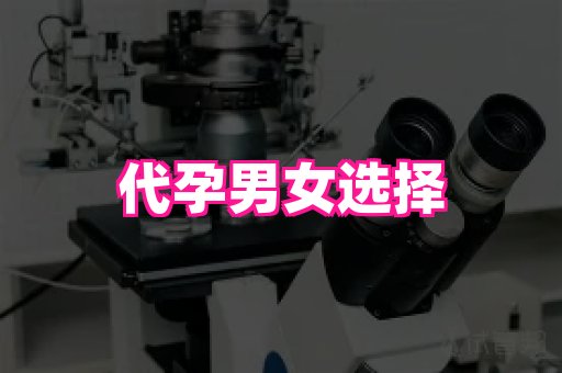 成都助孕网站 1